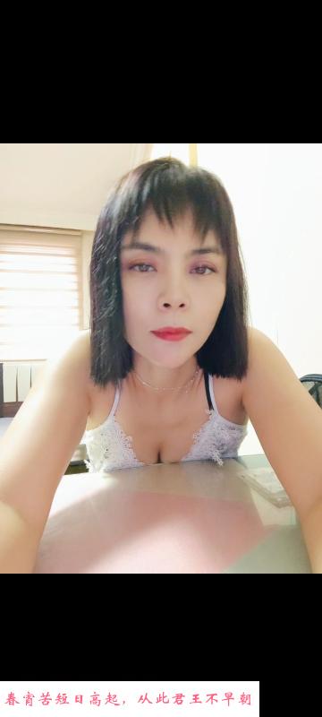 飘零的叶子 第1张