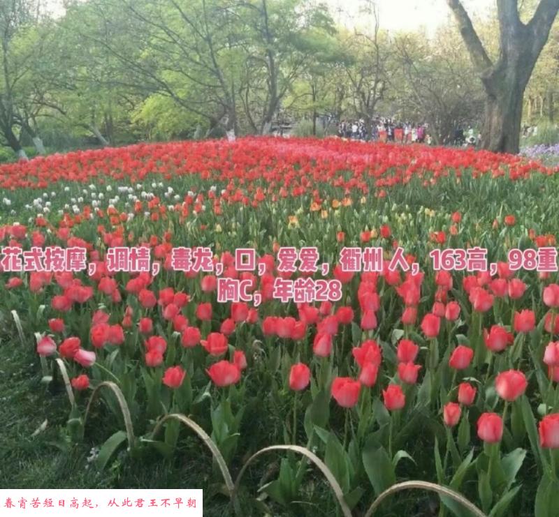 杭州服务少妇 第1张