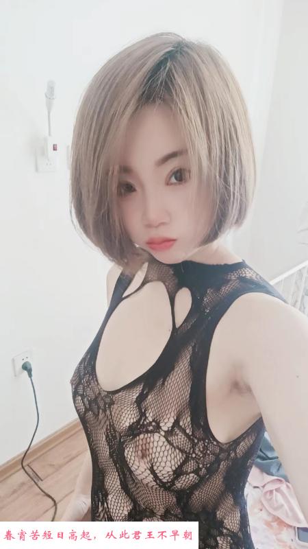 铁西奇奇 第1张