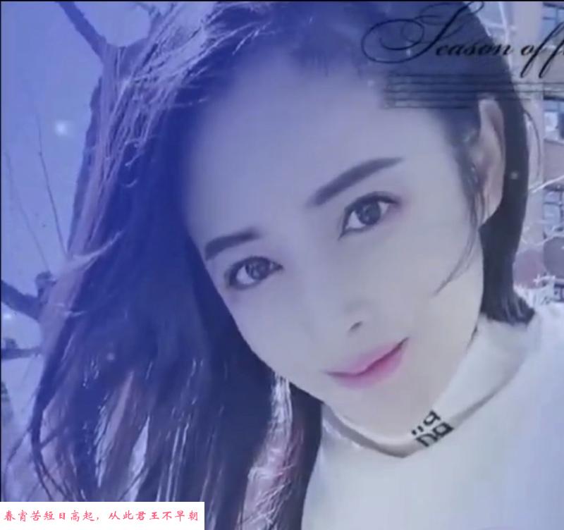 快速路小宇 第1张