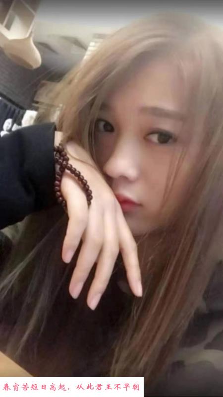 阜阳楼凤 第1张