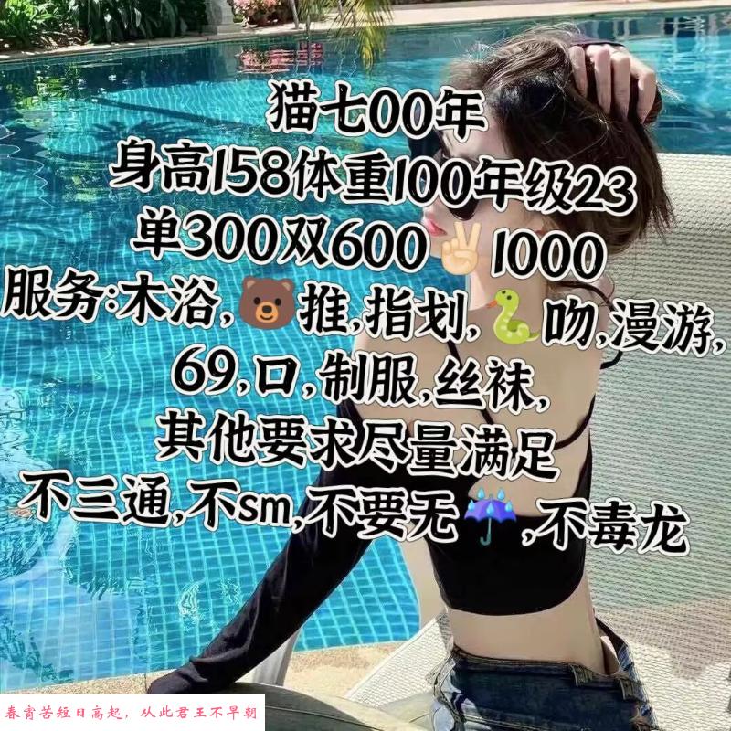 索菲亚附近猫七小妹 第2张