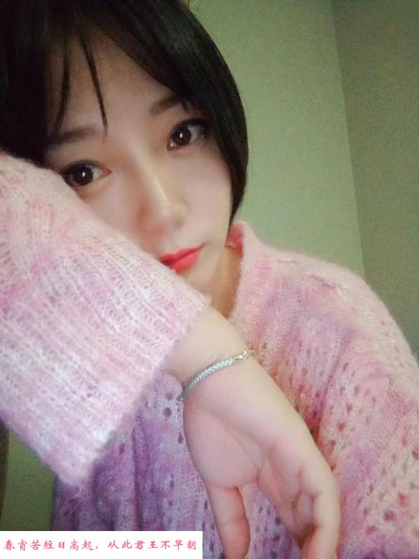 桥北邻家小妹 第1张