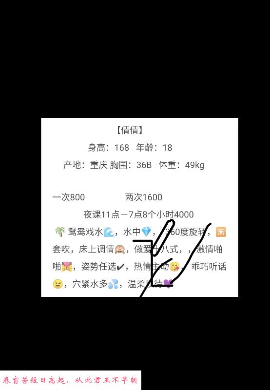浦东小白虎 第4张