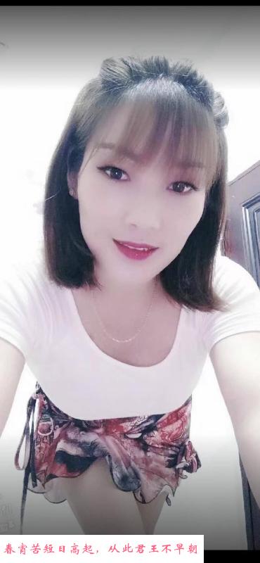 民治骚叶子 第1张
