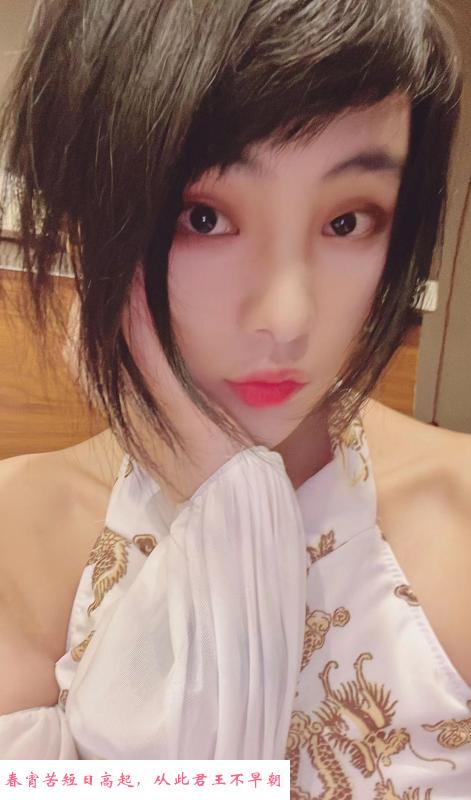 南站小野猫中大都有 第2张