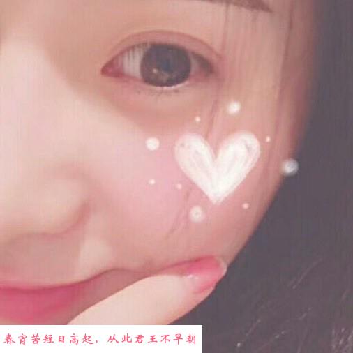 合肥小野猫 第1张