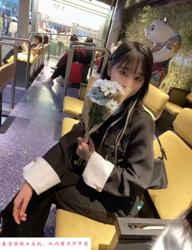 武侯豆豆 第1张