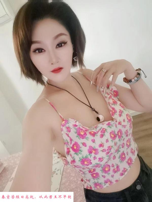 朝阳风骚小叶 第1张