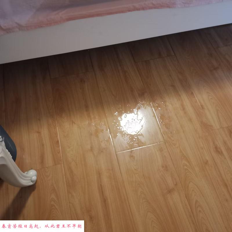 河东喷水少妇 第1张