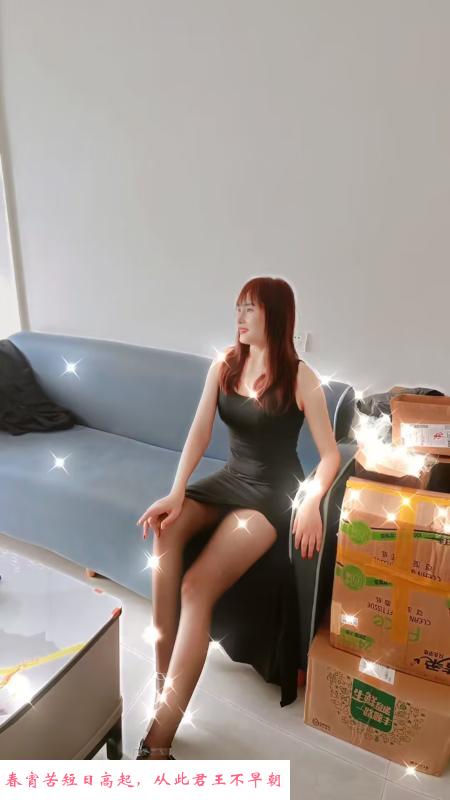 虎门燕子 第2张