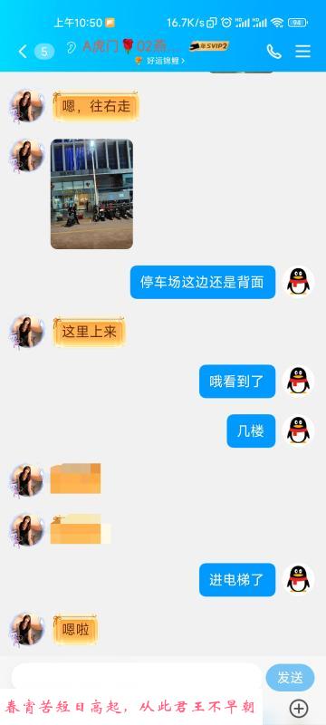 虎门燕子 第3张