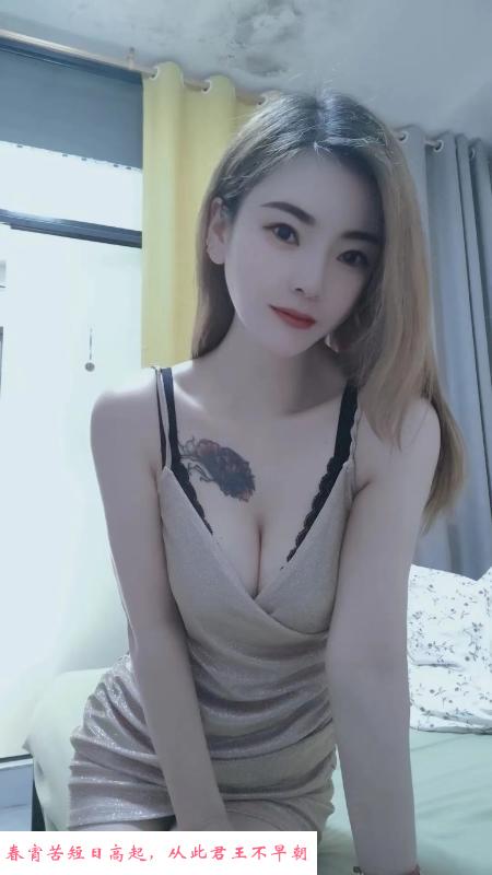 固戍小猫咪 第1张
