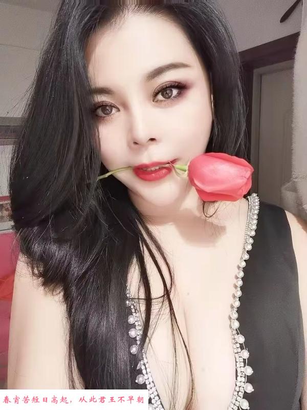 沈辽路魔莉 第1张