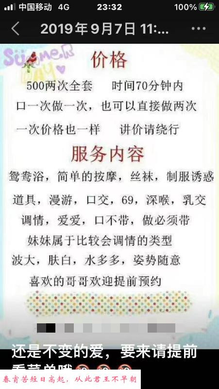 老凤回归 第3张