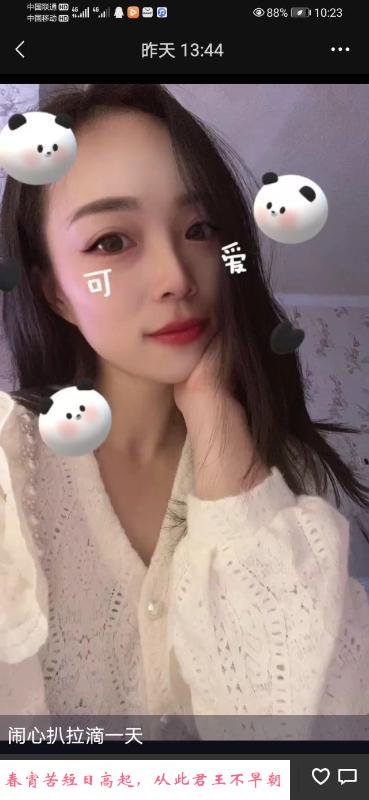 徐汇哈尼 第1张