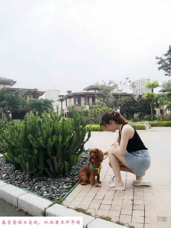 值得一试的少妇 第2张