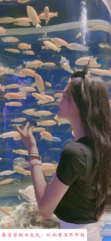 青春长腿女 第3张