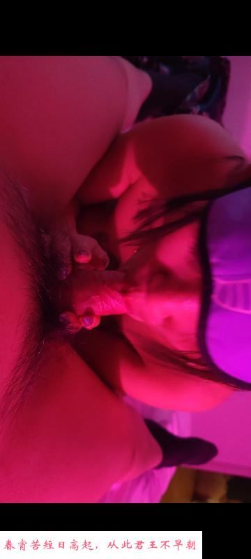 四川少妇可三通 第1张