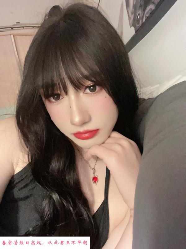 河北区伪娘cd黛儿 第1张