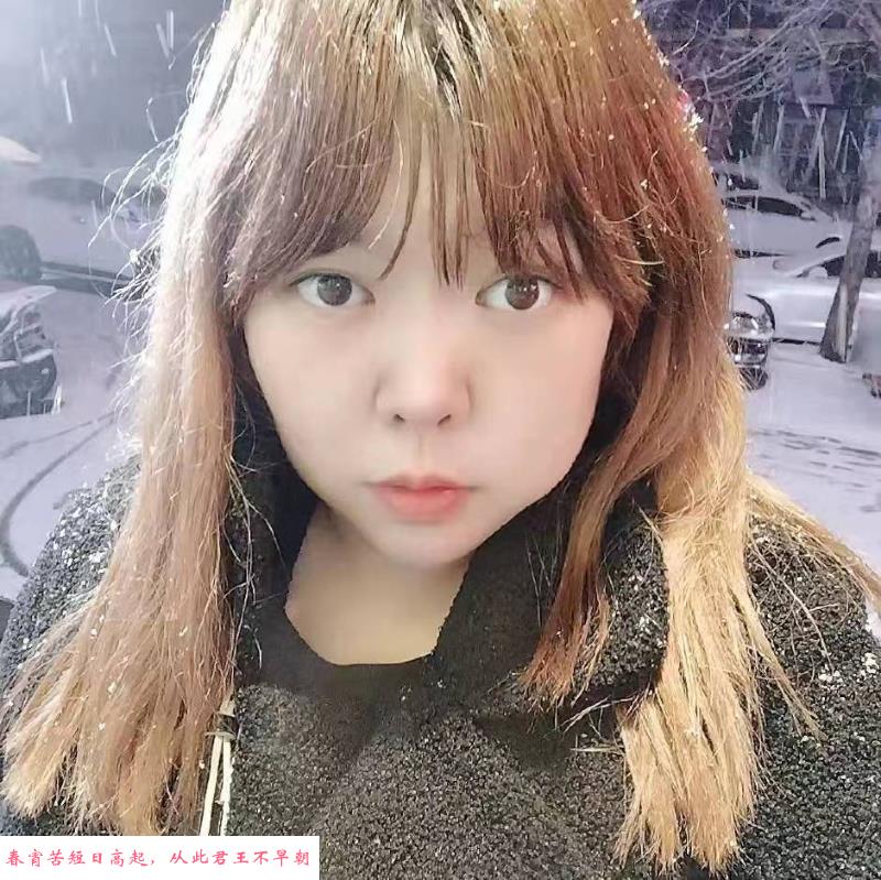 铁西胖丫头 第1张