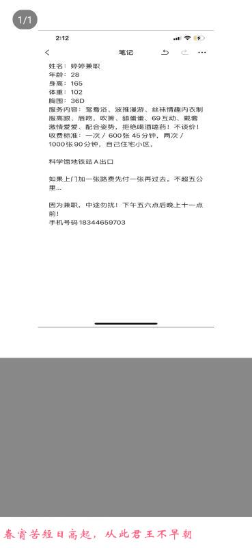 技术流小雅 第1张