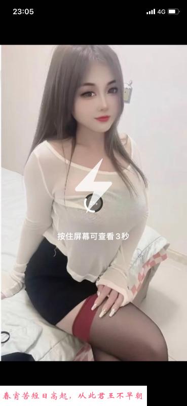 金融檬檬 第1张