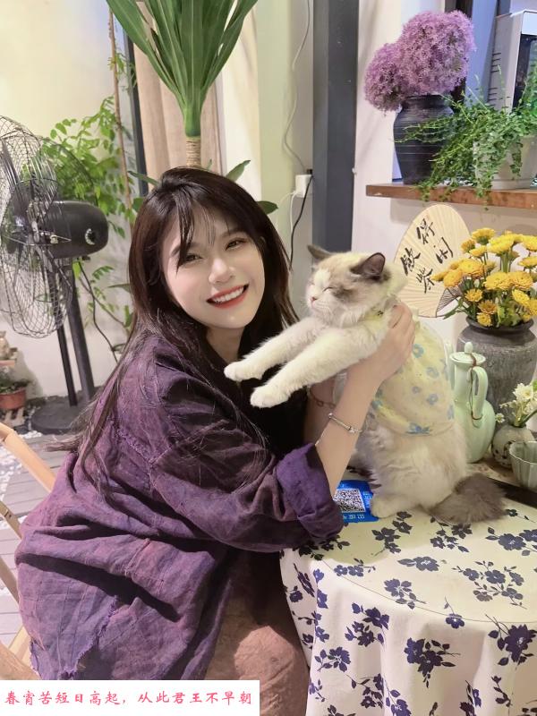 合肥政务区美女 第1张
