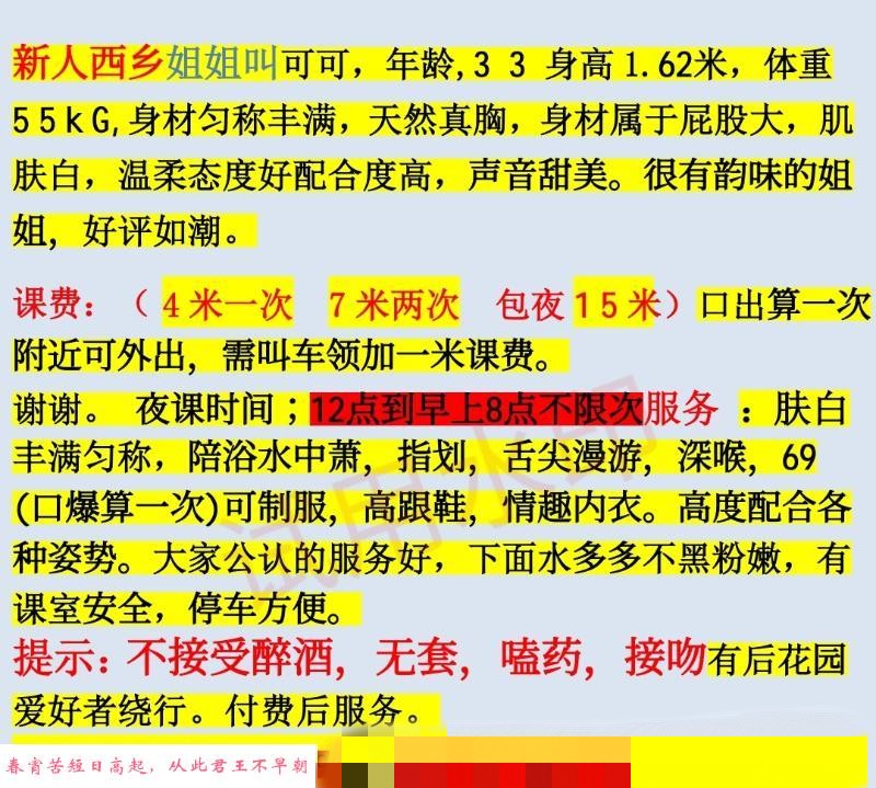 宝安固戍可可 第4张