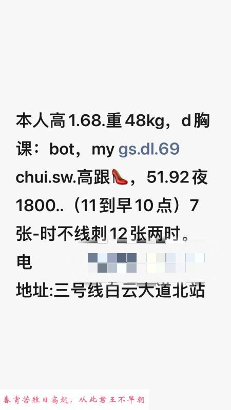 广州白云小凤仙 第1张