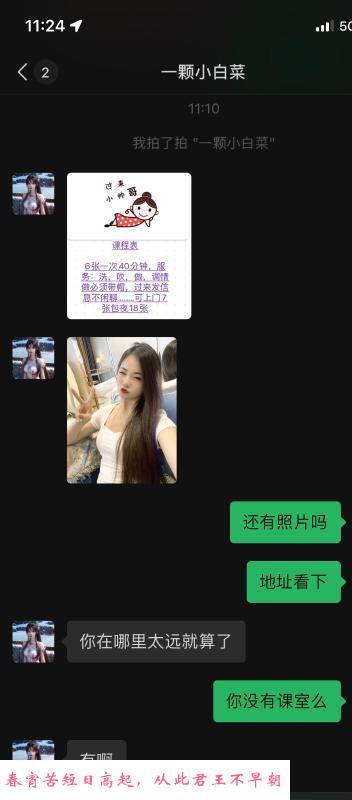 南山小白菜 第2张