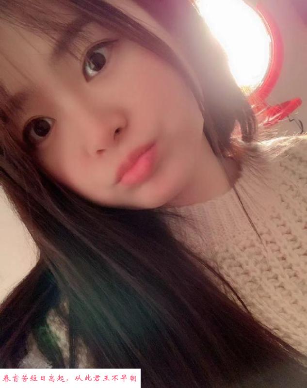 养猫的小姐姐 第1张