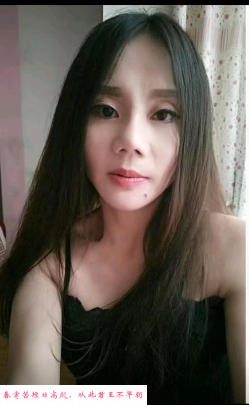 西门性价比火玫瑰 第1张