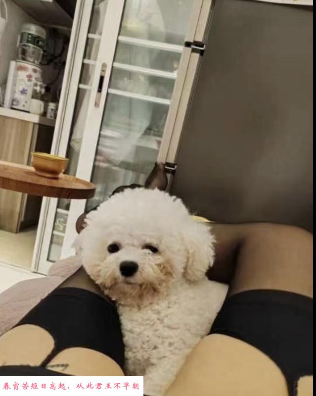 迈皋桥少妇 第2张