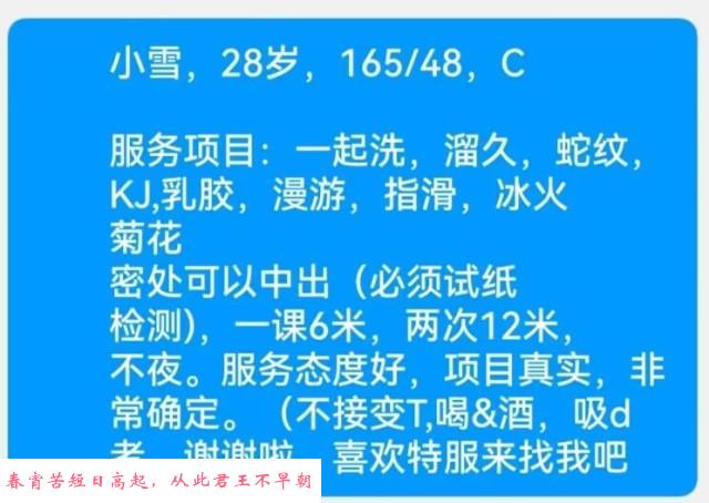 虹口wt三通特色菊花 第3张