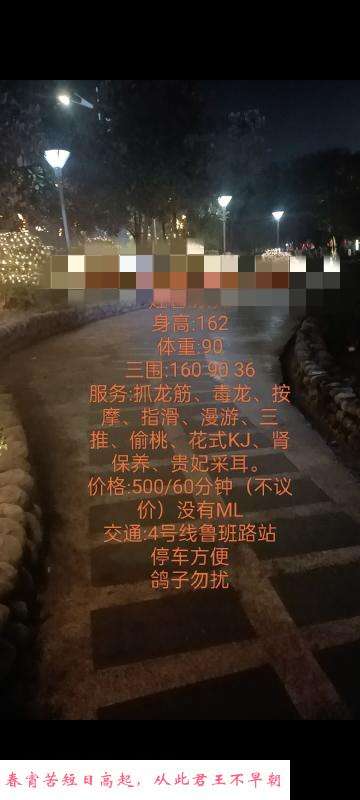 服务系双双无大 第1张