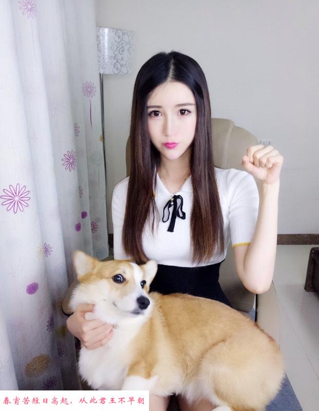 上海小猫 第1张