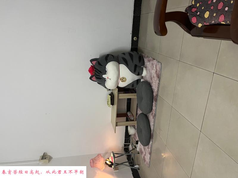 出击海珠莹莹 第3张