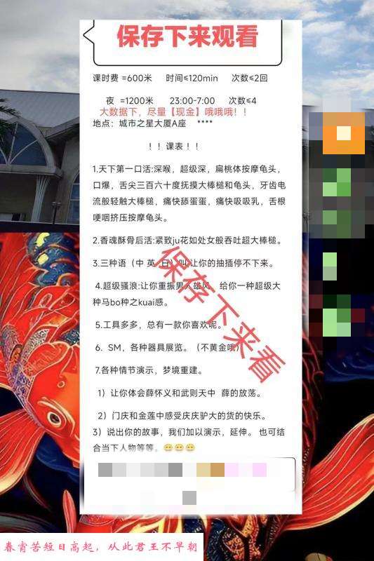 河东夜来香 第1张