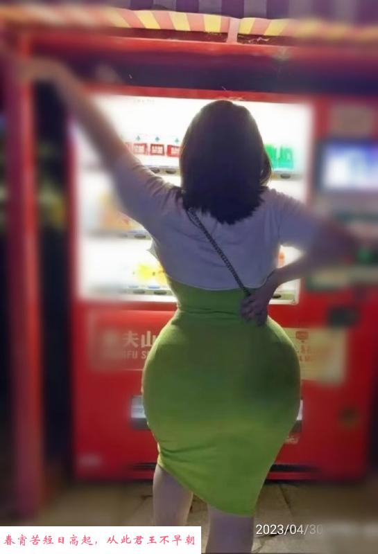 深圳海豚BBW 第4张