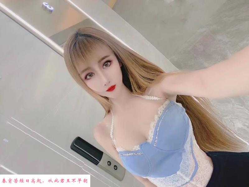 河东个人雅儿 第1张
