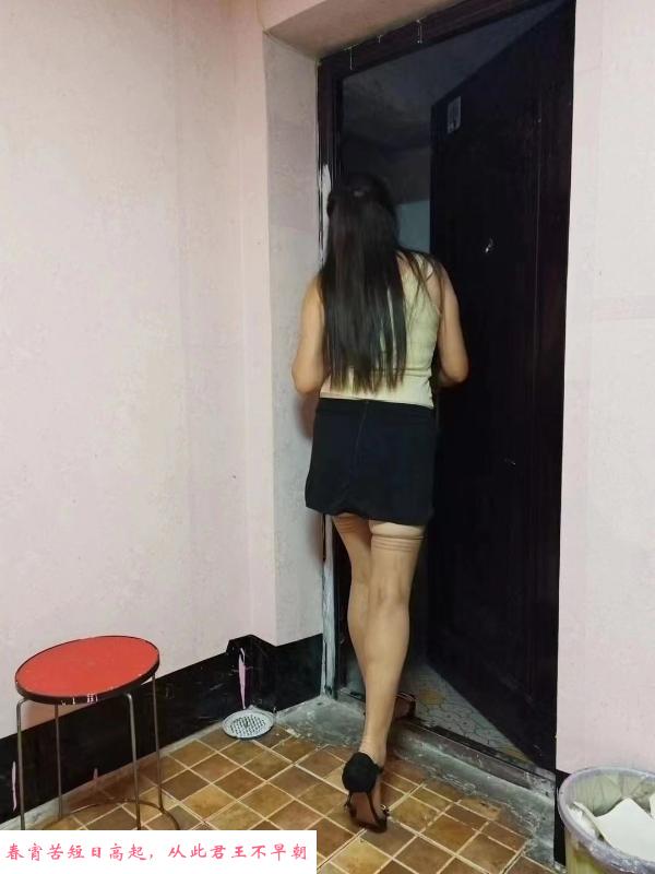 宝山服务型熟女 第1张