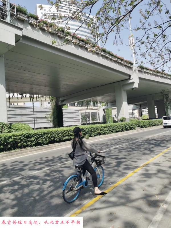 闵行气质熟女 第4张