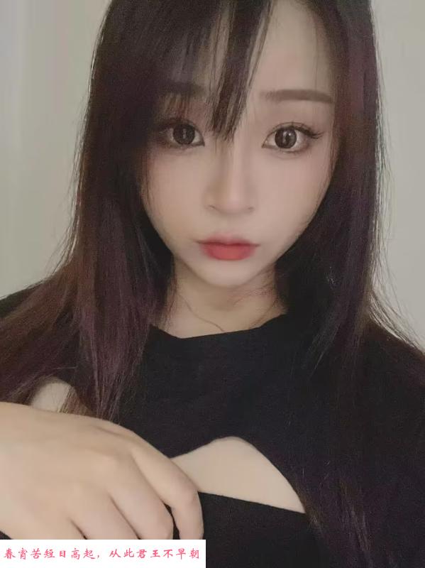 上城兔子 第2张