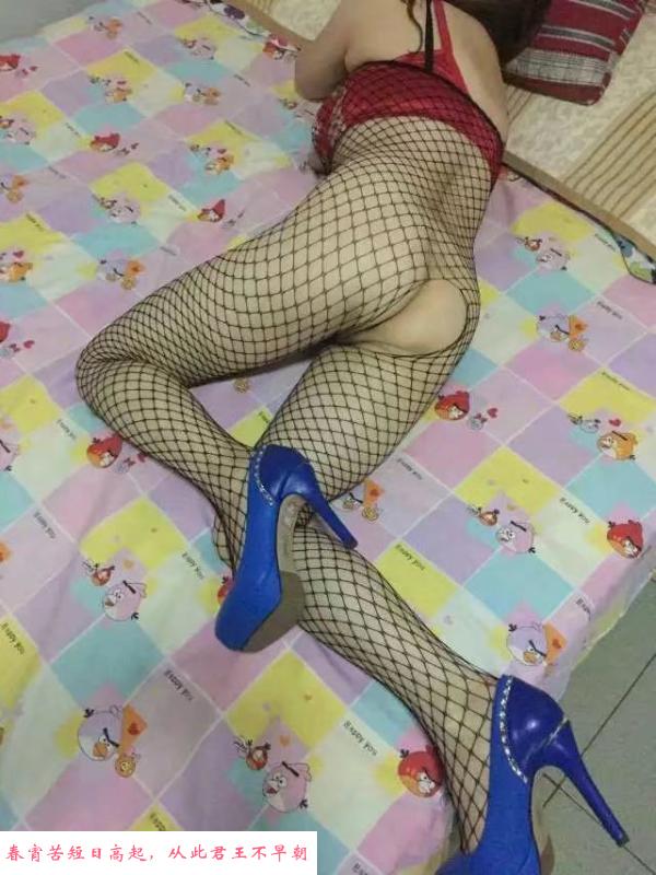 丰台玲姐性价比 第1张