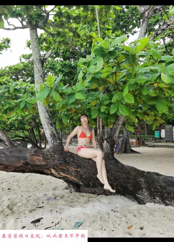 沈阳美女游泳教练 第2张