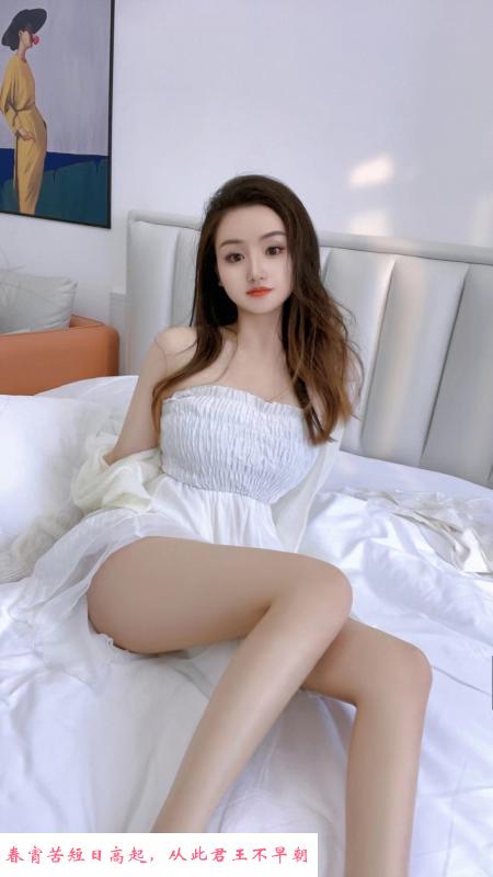 芭比娃娃 第1张
