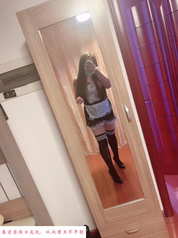 绿园奶牛 第1张
