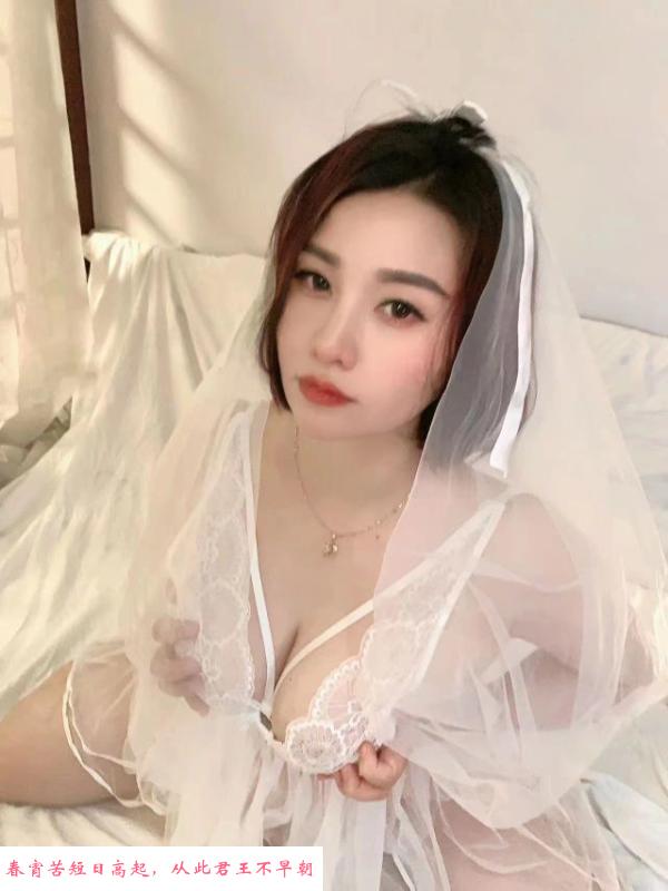西乡小爱 第1张