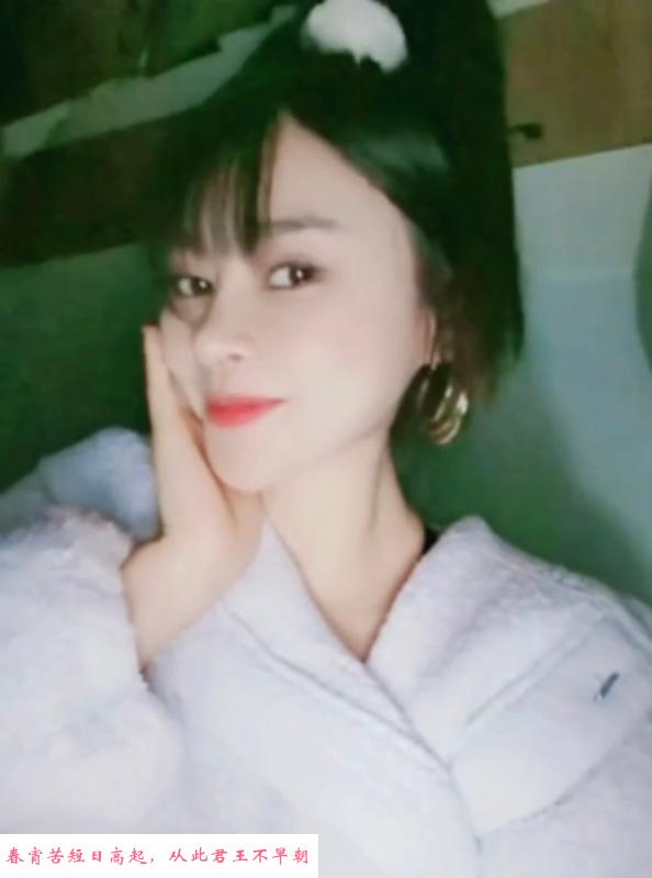 秦淮美妇 第1张
